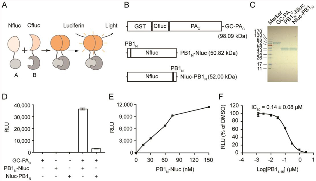 Figure 2.