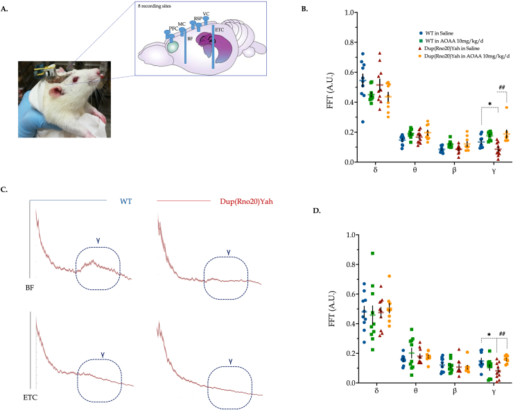 Fig. 13