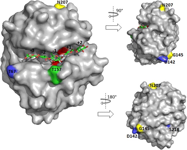 Fig. 2