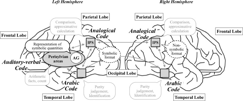 Fig 10