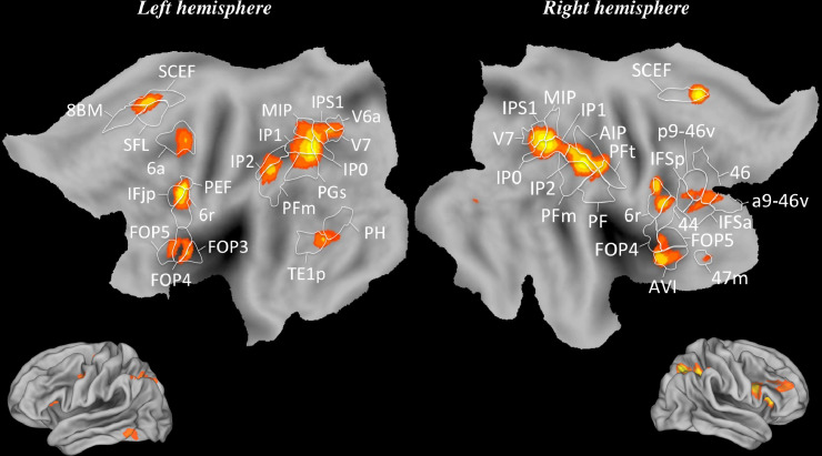 Fig 2