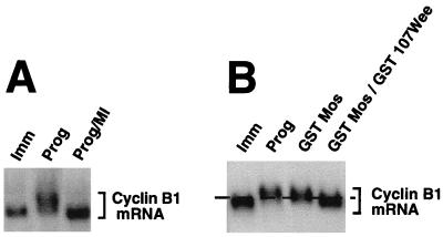 FIG. 6