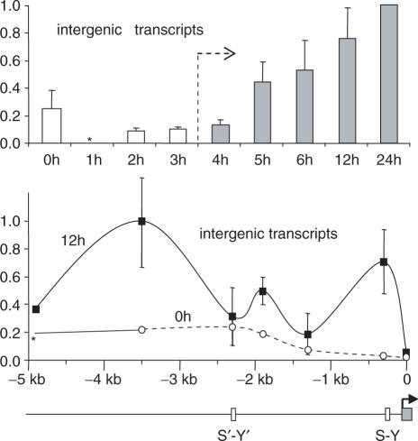 Figure 6.