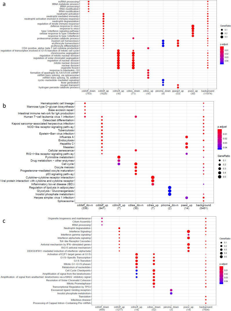 Figure 1—figure supplement 3.