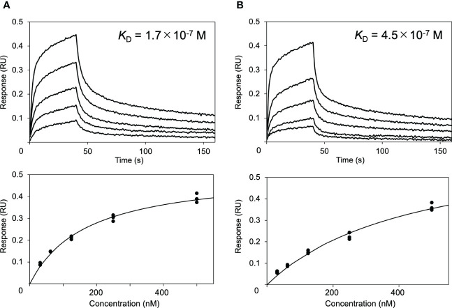 Figure 2