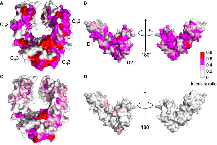 Figure 5