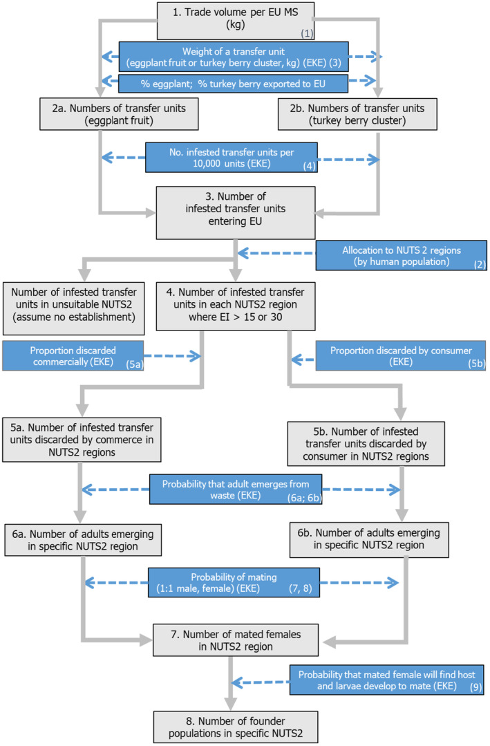 FIGURE 3