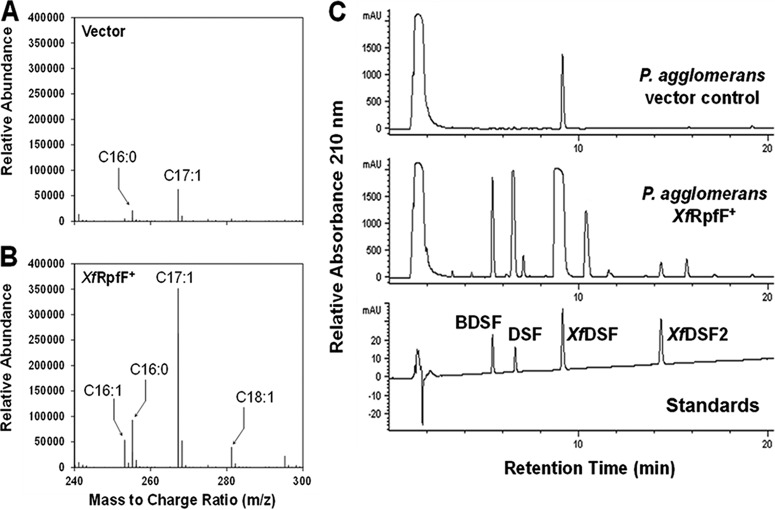 FIG 2 