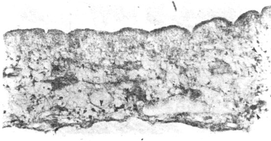 Fig. 6A