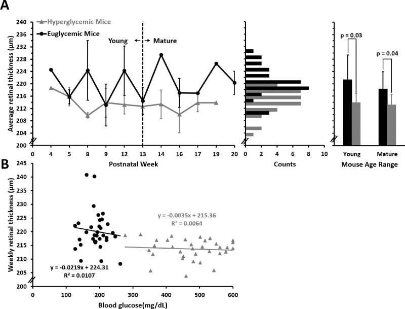 Figure 11.