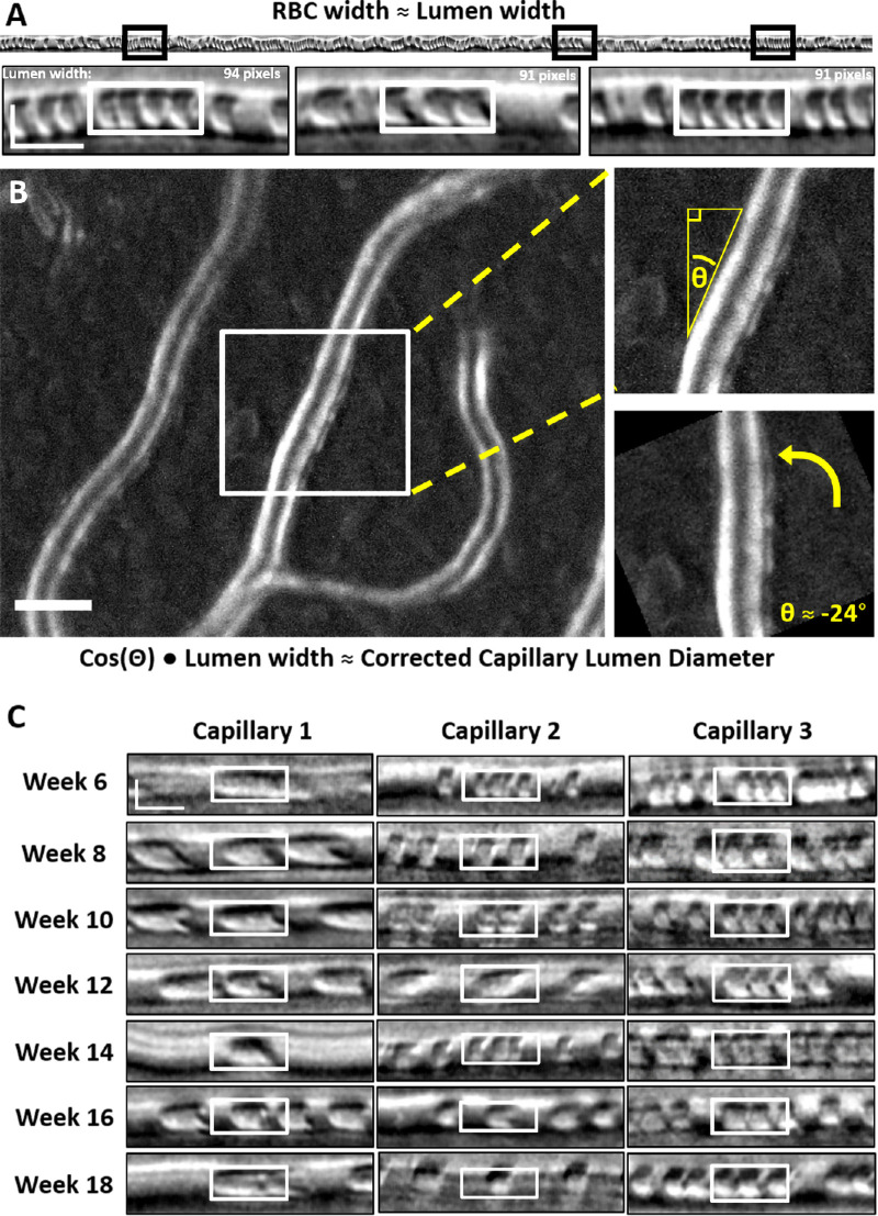 Figure 3.