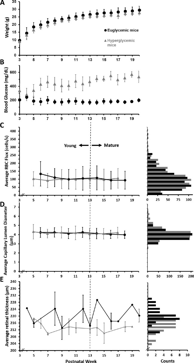 Figure 12.