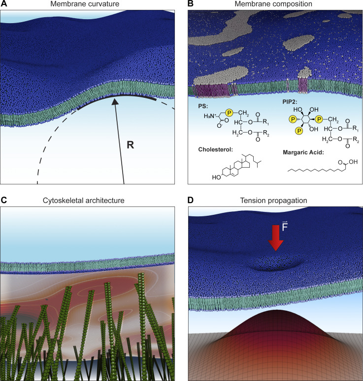 Figure 6.