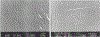 FIG. 21.