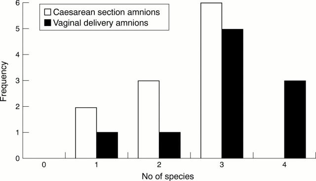 Figure 1  