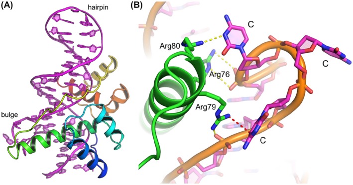 Figure 10