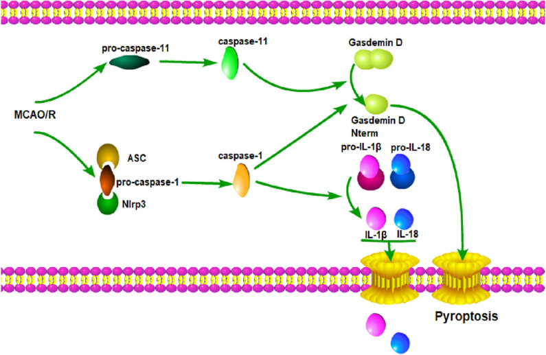 Figure 7