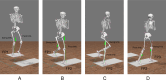 The step-down-and-pivot task with left limb as the pivot limb and right limb as the swing limb.