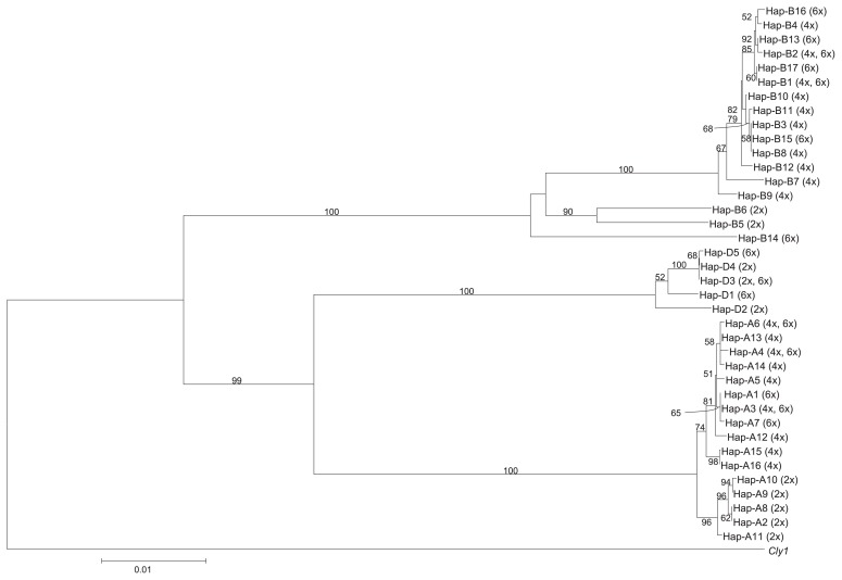 Fig. 7