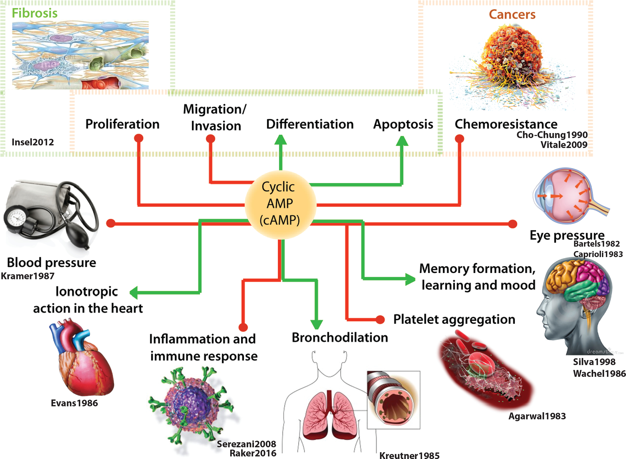 Figure 1: