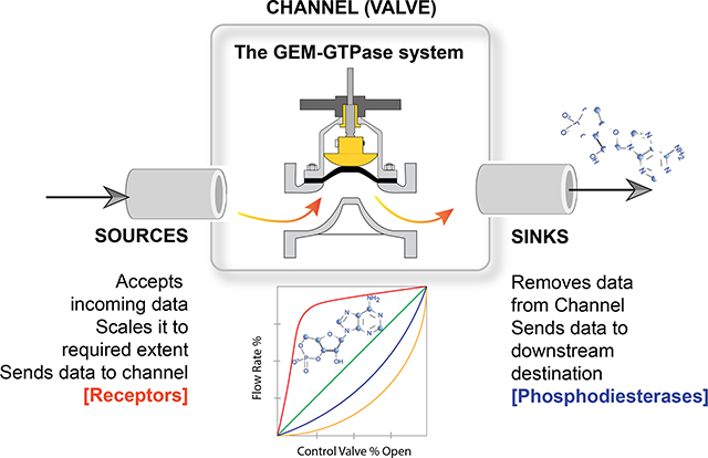 graphic file with name nihms-1586042-f0004.jpg