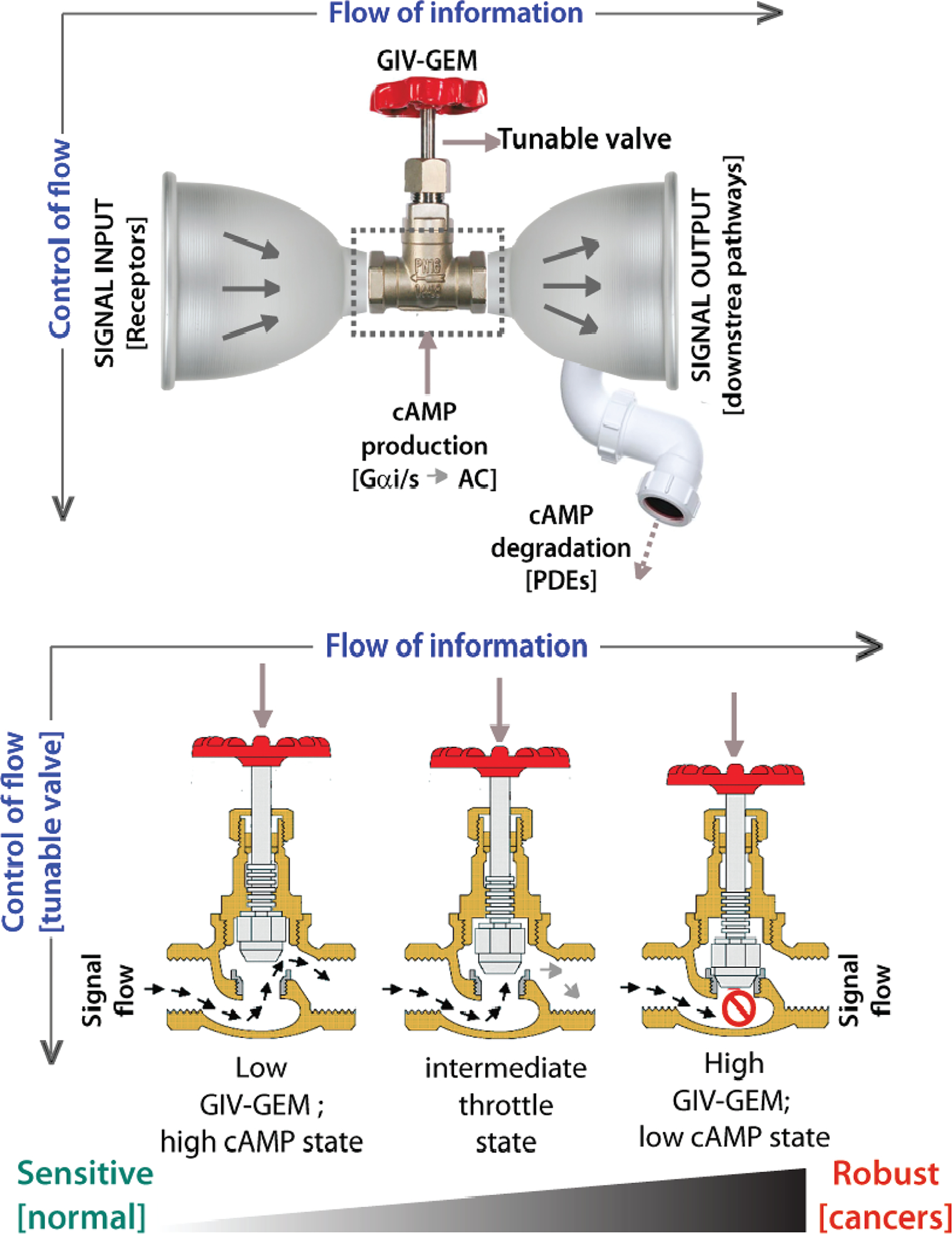 Figure 2: