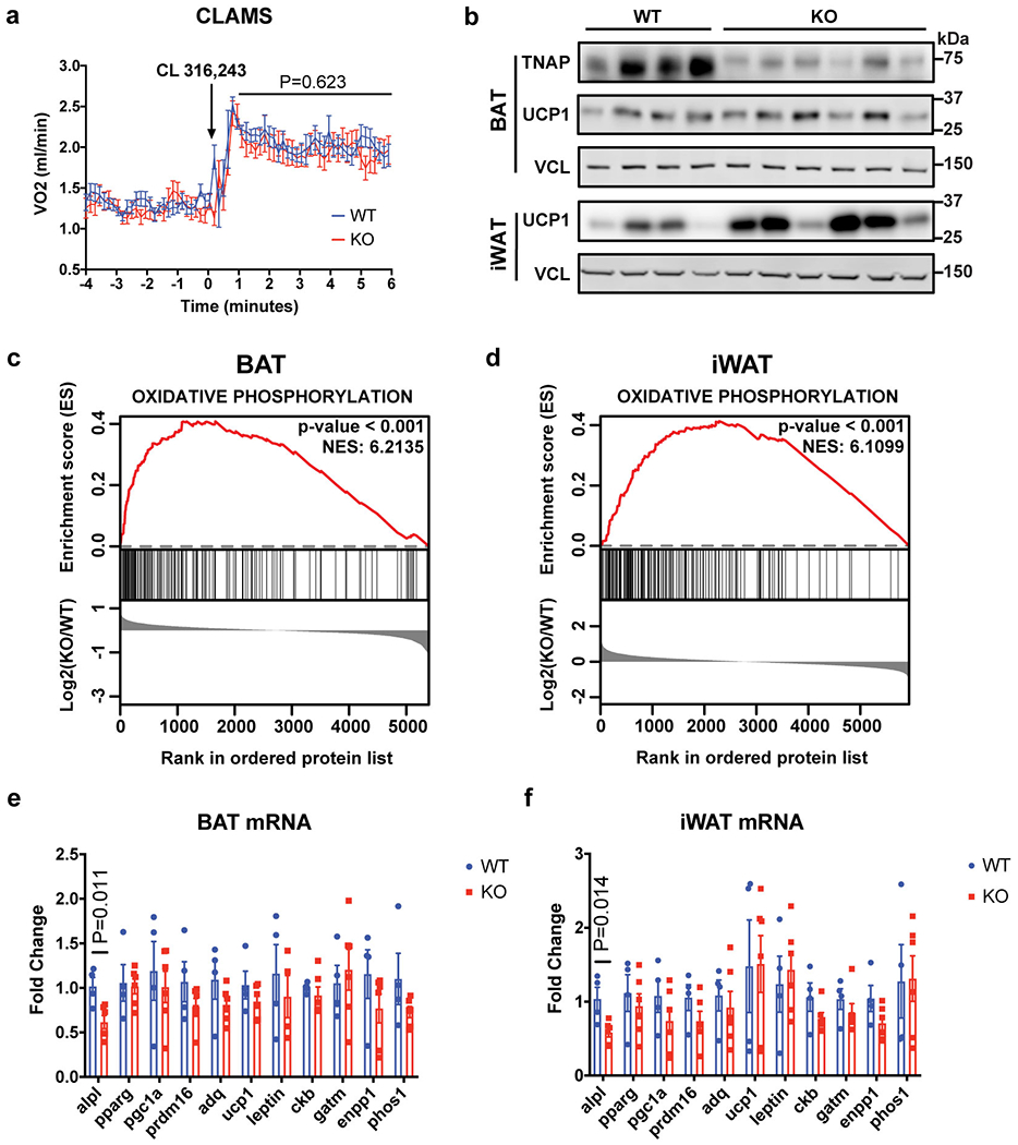 Extended Data Figure 10.