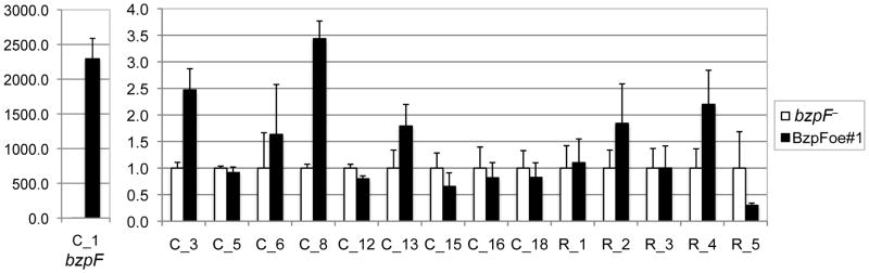 Fig. 8