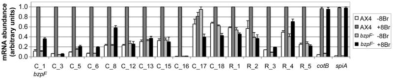 Fig. 7