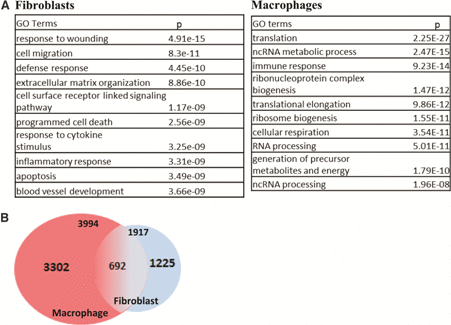 graphic file with name inl-1.gif