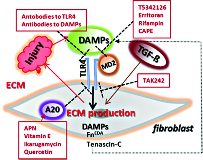 Figure 6.