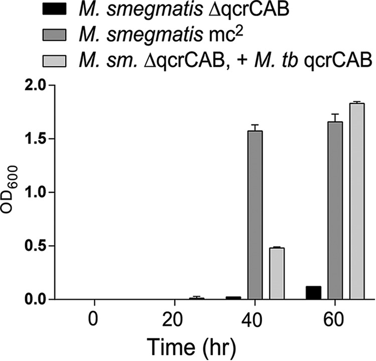 FIGURE 2.