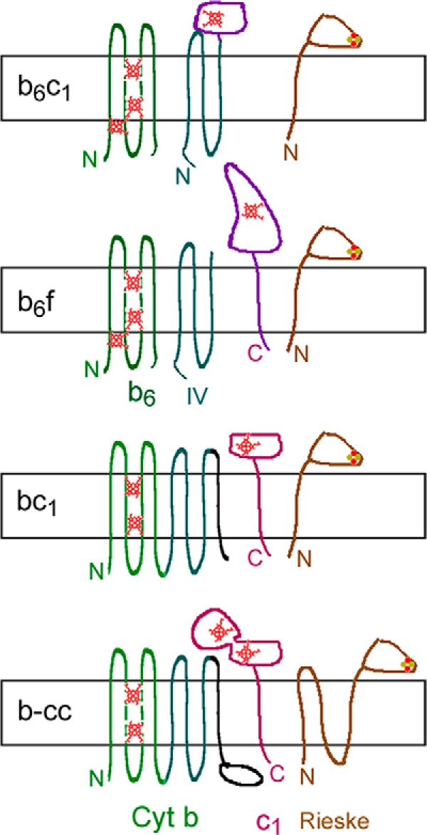 FIGURE 1.