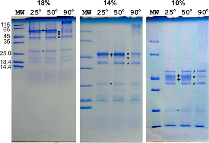 FIGURE 9.