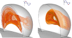 Fig. 10