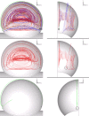 Fig. 11