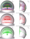 Fig. 12