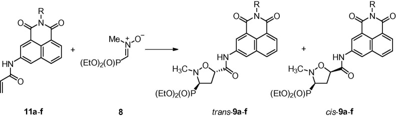 Scheme 3