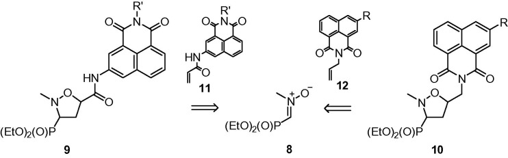 Scheme 1