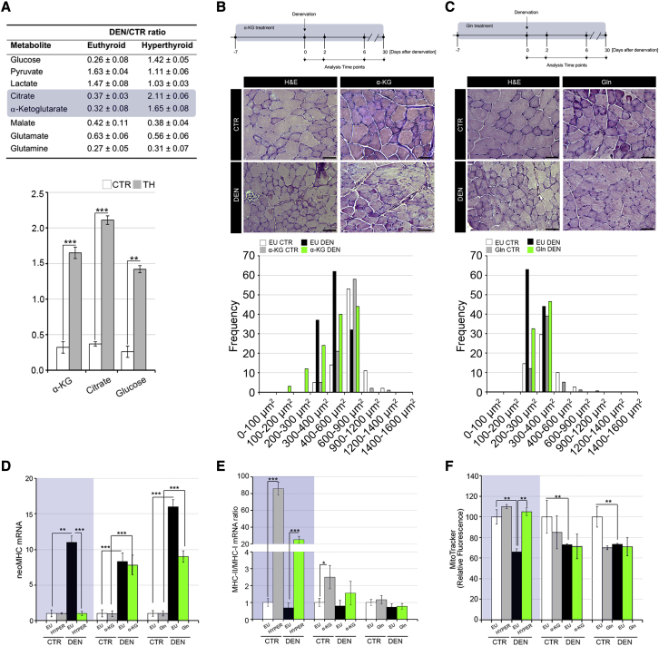 Figure 6