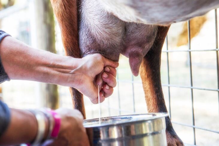 graphic file with name 16022_2022_237_Fig9_HTML.jpg