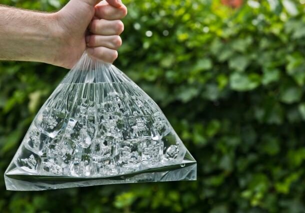 graphic file with name 16022_2022_237_Fig8_HTML.jpg