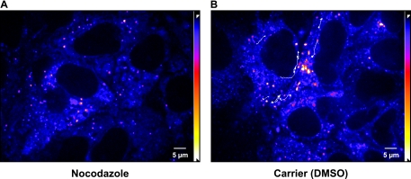 FIG. 6.