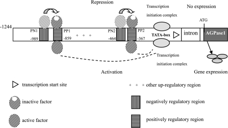 Fig. 10.