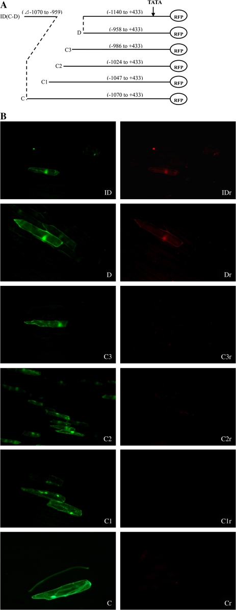 Fig. 6.