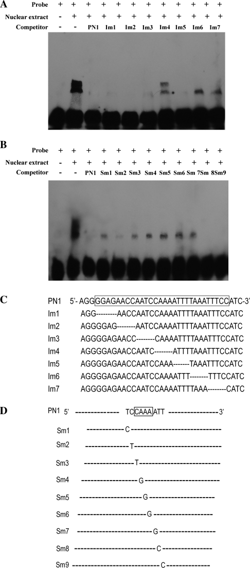 Fig. 9.