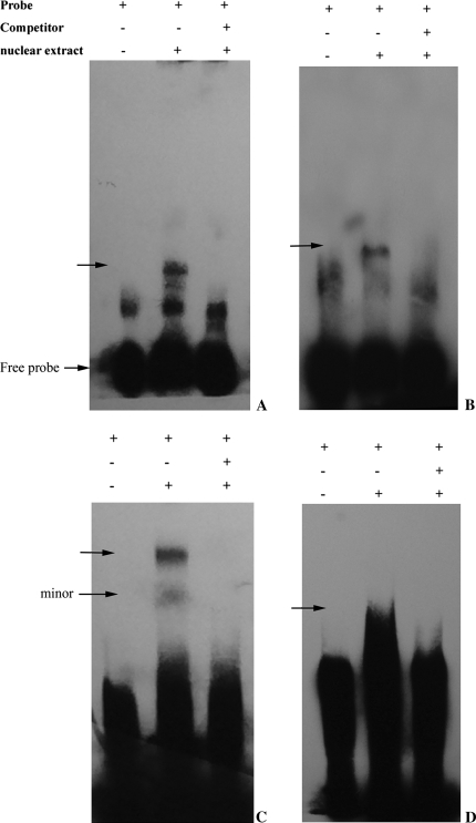 Fig. 8.