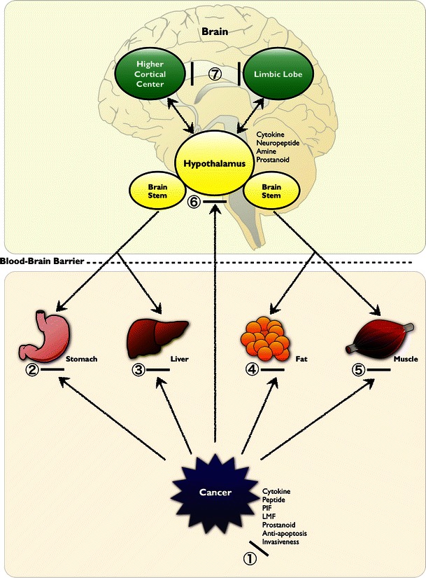 Fig. 3