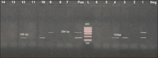 Figure-3