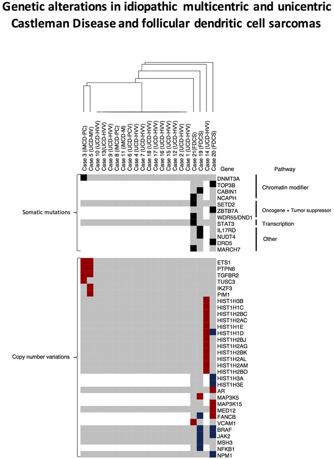 graphic file with name advances009654absf1.jpg